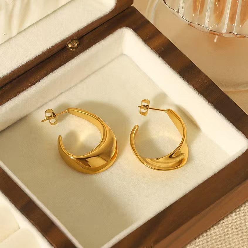 fashionable Earrings (Aretes)